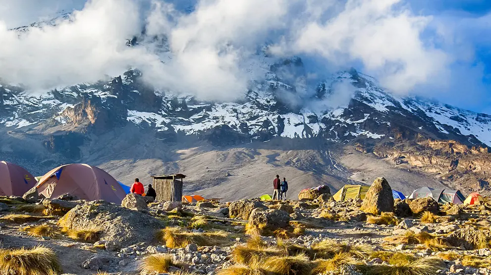 Kom på overjordisk trekking i højderne på Mount Kilimanjaro.
