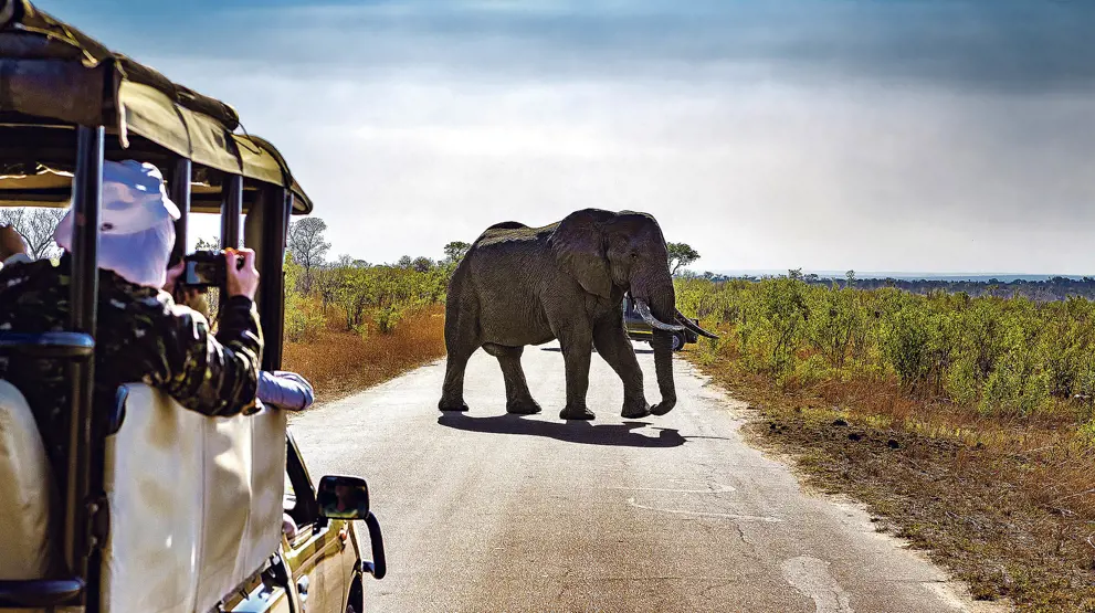Store safarioplevelser i Sydafrika venter.
