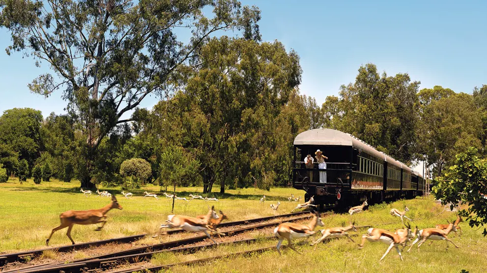 Kom på luksuriøs togrejse med Rovos Rail på din Zimbabwe-rejse.