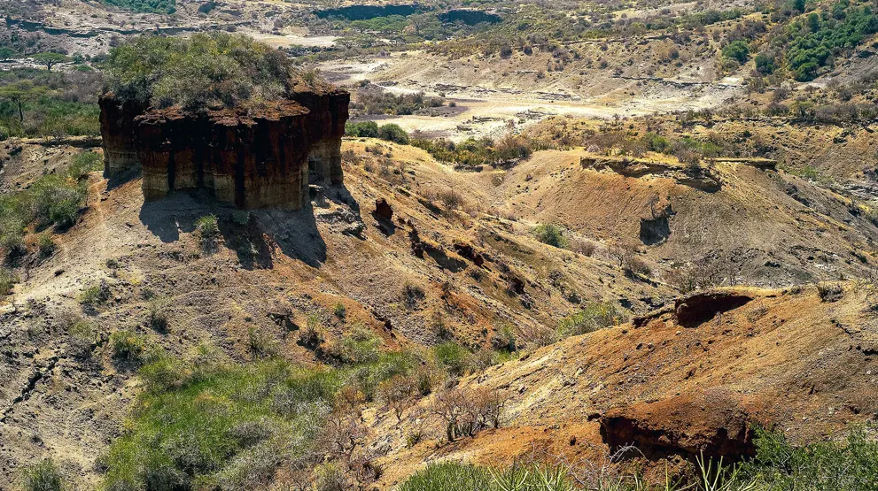 Kløfterne i det forunderlige Olduvai Gorge.