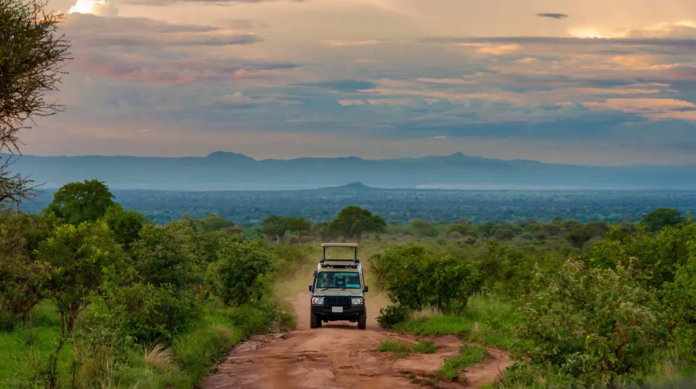 Kom på verdensklasse safari i Tanzanias smukke landskaber.
