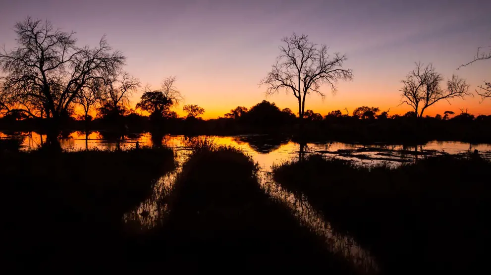Se den klare nattehimmel og flotte solnedgange på din rejse til Botswana.