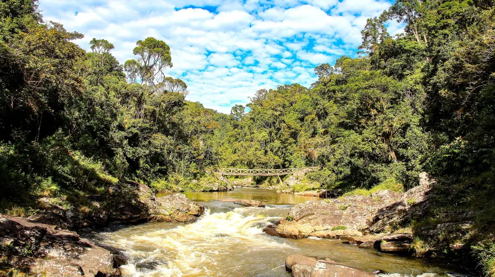 Floder, frodig skov og klipper i Ranomafana National Park.
