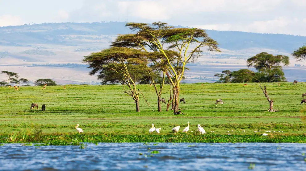 Se Lake Naivasha i Longonot Nationalpark på din rejse til Kenya.