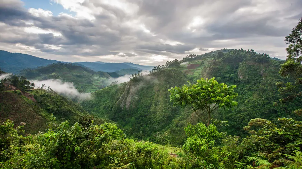 Kom på eventyrlig rejse i Afrika med regnskove og frodige landskaber.