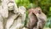 Ubud Monkey Forest Ubud Monkey Forest