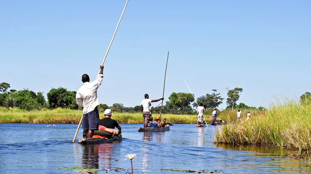 Der findes flere slags bådsafari i Okavango-deltaet, blant andet i traditionelle kanoer.