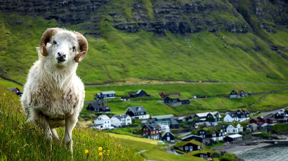 Få hjælp fra BENNS' Færøerne-eksperter til at skræddersy din ferie