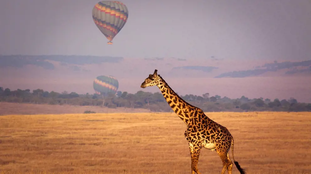 Svæv i luften med unik og bjergtagende ballonsafari på din Kenya-rejse.